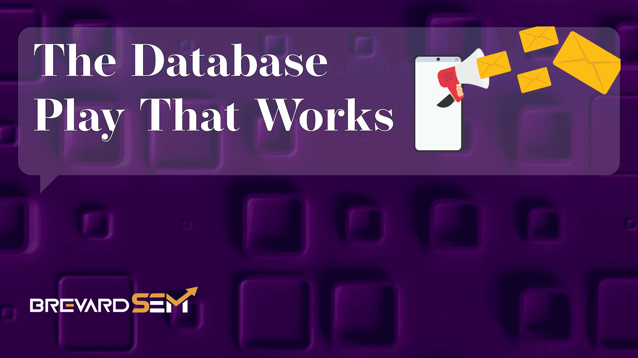 Newsletters & SMS: The Database Marketing Play That Works - Brevard SEM